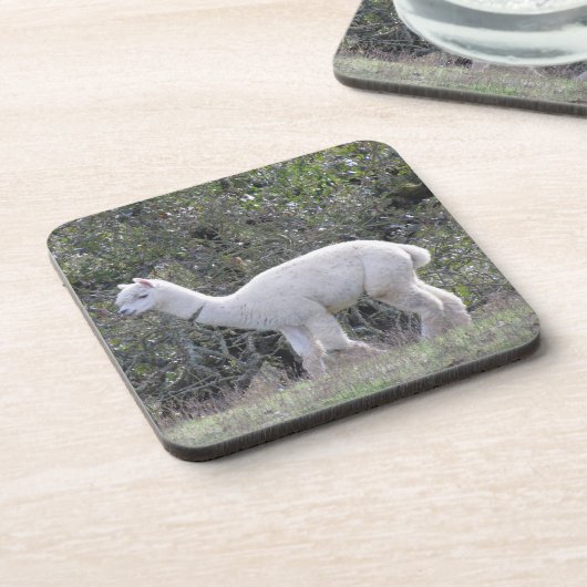 Onderzetter set - White Alpaca (Linkerzijde)