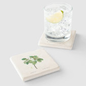 ONDERZETTER STONE : MAGNOLIA : REDOUTÉ (Zijkant)