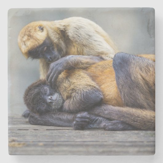 Onderzetter van apen (Voorkant)