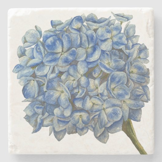 Onderzetter van blauwe hydrangea (Voorkant)