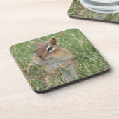 Onderzetter van Chipmunk (Linkerzijde)