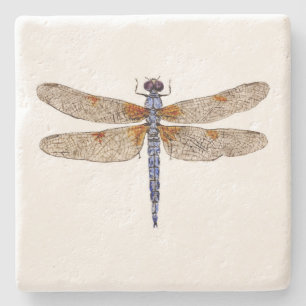 Onderzetter van de Dragonfly-dragonvlieg, gebleekt