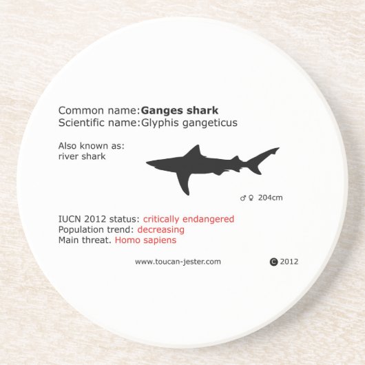 Onderzetter van de reuzenhaai (Voorkant)