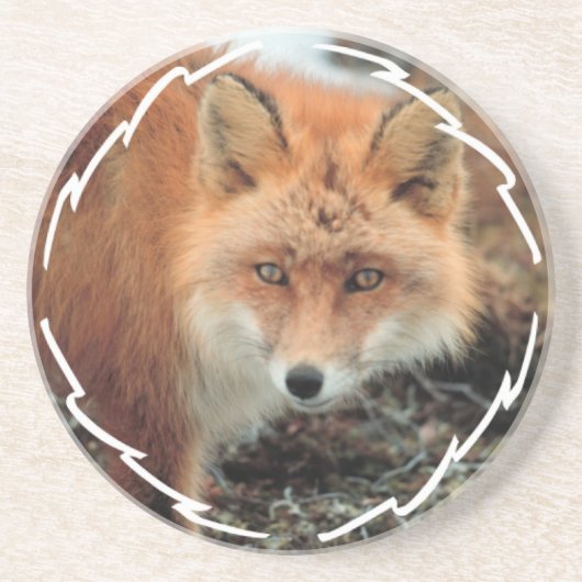 Onderzetter van de soort "Fox Species" (Voorkant)
