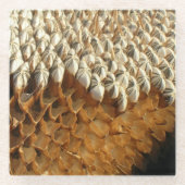 Onderzetter van glas - Zonnebloempitten (Voorkant)