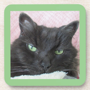Onderzetter van groene zwarte kattenkat