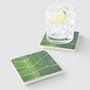 Onderzetter van leder- en waterdruppels