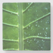 Onderzetter van leder- en waterdruppels (Voorkant)