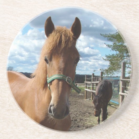 Onderzetter van paarden (Voorkant)