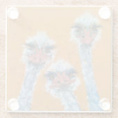 Onderzetter van struisvogels (Achterkant)