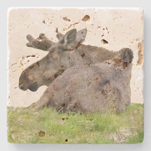 Onderzetter van travertijn met mose (Voorkant)