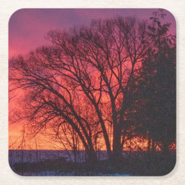 Onderzetter van Tree and Sunset