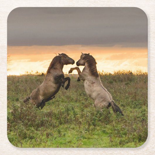 Onderzetter van wilde paarden (Voorkant)