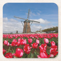 Onderzetter van windmolen en tulpen