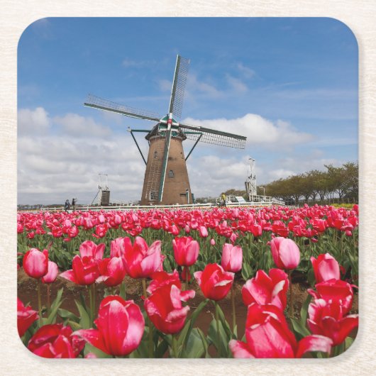 Onderzetter van windmolen en tulpen (Voorkant)