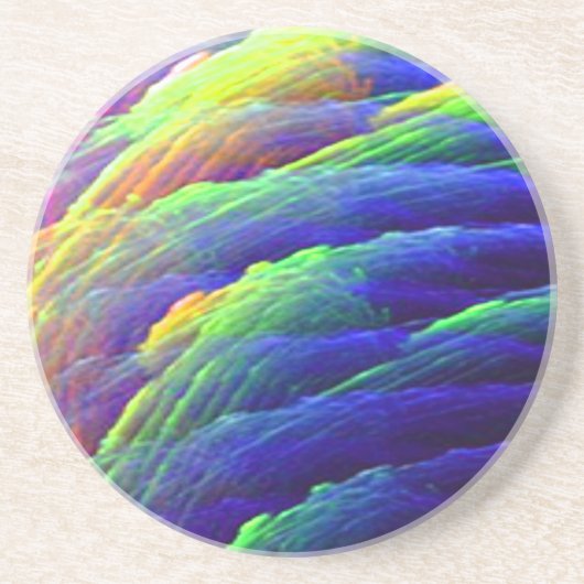 Onderzetter voor regenboogschoorsteenveger (Voorkant)