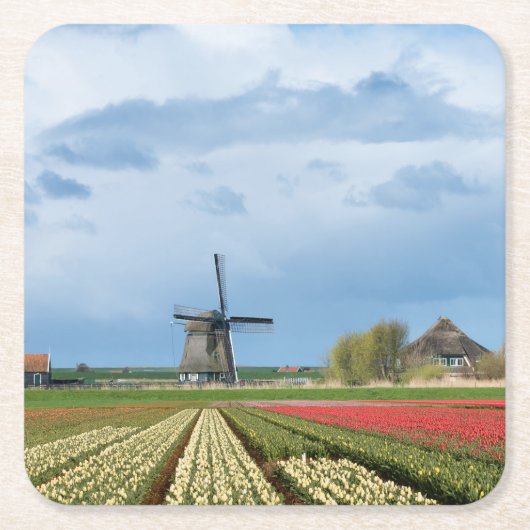 Onderzetter voor windmolen en tulpen (Voorkant)