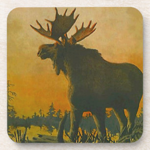 Onderzetter Wildlife Moose Sunset Swamp Donkey Mar