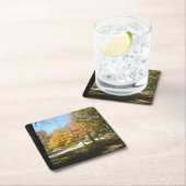 Onderzetters (Insitu)