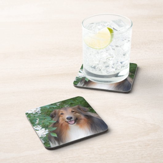 Onderzetters - set van 6 - met Sheltie (Rechterzijde)