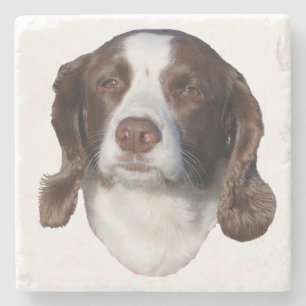 Onderzetters van bruine en witte honden