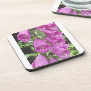 Onderzetters van harde kunststof met kurkrug - set