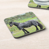 Onderzetters voor aangepaste paarden (Linkerzijde)