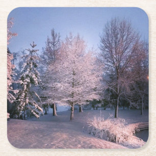 Onderzetters voor winterWonderland