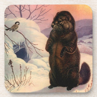 Onderzetters Winter Wildlife Chickadee bird & Beav