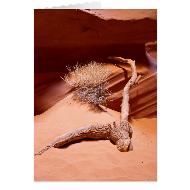 Onderzoek Arizona (Voorkant)