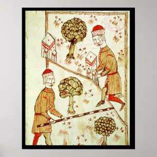 Onderzoek en afbakening van de grond poster