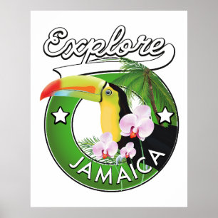 Onderzoek het Poster van het logo Bahamas
