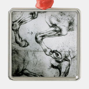 Onderzoek naar benen van paarden metalen ornament