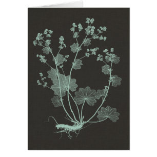 Onderzoek naar de Natuur van mint en houtskool I