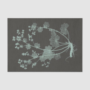 Onderzoek naar de Natuur van mint en houtskool I Tissuepapier