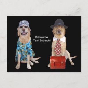 Onderzoek naar dierlijk/laboratorium/honden-gedrag briefkaart