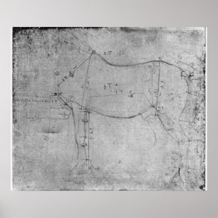 Onderzoek naar een paard poster