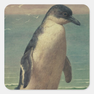 Onderzoek naar een pinguïn vierkante sticker