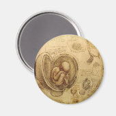 Onderzoek naar embryo's magneet (Voorkant / Achterkant)