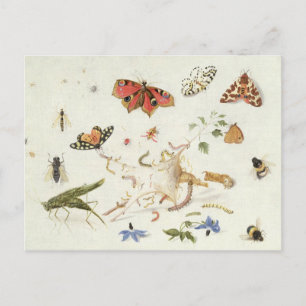 Onderzoek naar insecten en bloemen briefkaart