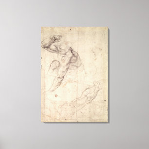 Onderzoek naar mannelijke figuur canvas afdruk