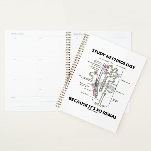 Onderzoek naar nefrologie omdat het zo renaal is planner (Display)