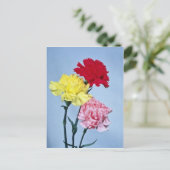 Onderzoek naar rode anjer bij witte bloemen briefkaart (Staand voorkant)