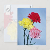 Onderzoek naar rode anjer bij witte bloemen briefkaart (Voorkant / Achterkant)