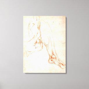 Onderzoek van een onderbeen en voet canvas afdruk