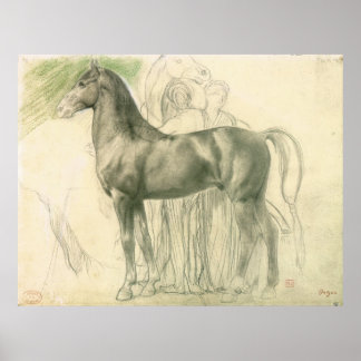 Onderzoek van een paard met cijfers poster