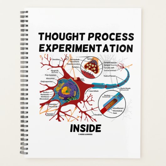 Onderzoek van het proces in neuron planner (Voorkant)