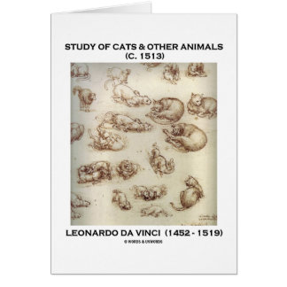 Onderzoek van katten en andere dieren (Leonardo da