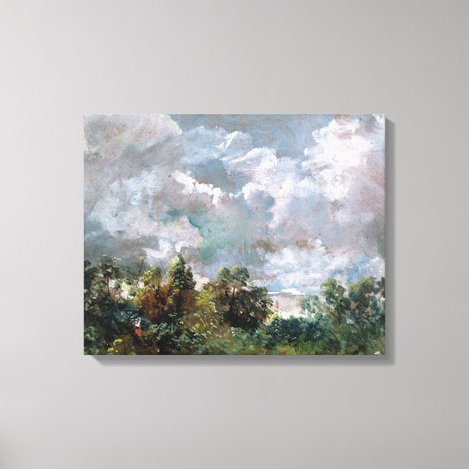 Onderzoek van Sky and Trees (olie op canvas) Canvas Afdruk (Voorkant)