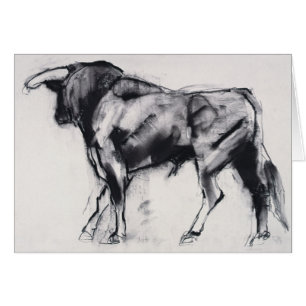 Onderzoek van Toro Azul